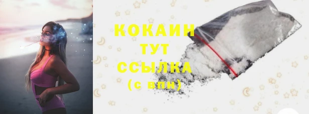 стаф Абинск